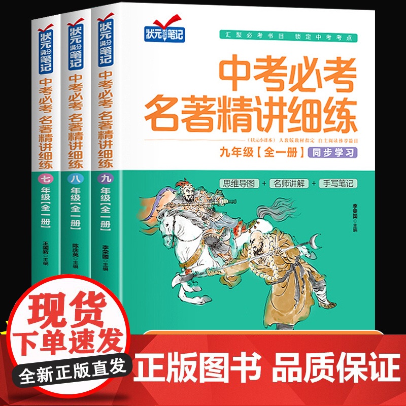 中考名著精讲细练七八九年级上下册中考必考名著精讲中考名著阅读必考12部+24部初中名著初一初二初三名著导读名著精讲精练中