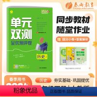 历史 八年级下 [正版]2024年春 初中历史单元双测八年级下册人教版 8年级下初二RJ版基础达标训练综合培优期中期末全