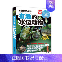 [正版]爱自然巧发现 有趣的水边动物 8912 对河流 胡泊和水田等水边生活的动物进行全面解说 通俗易懂地解说水边动物
