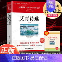 艾青诗选 北京工艺美术出版社 [正版]九年级必读名著 水浒传艾青诗选儒林外史简爱人民教育出版社原著无删减完整版人教初中生
