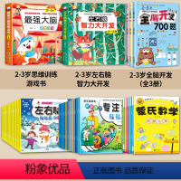 智力进阶43本套装[2-3岁]大脑开发一套搞定 [正版]全脑开发700题全套2-3-4-6岁早教书幼儿宝宝专注力数学逻辑