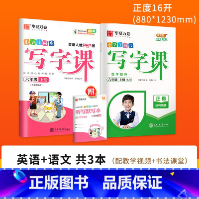 [更全面⭐ 划算]六上(语文+英语 ) [正版]字帖写字课一二三四五六年级上册下册 下上语文英语同步练字帖一年级字帖练字