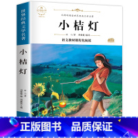小桔灯 [正版]寄小读者 繁星春水 小桔灯 冰心散文集 3册四年级必读课外书 小学4年级课外阅读书籍 精选儿童文学全集