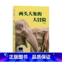 两头大象的大冒险 [正版]《两头大象的大冒险》(2024年百班千人寒假书单 四年级阅读)