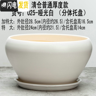 三维工匠28厘米陶瓷花盆特大号植物盆栽花盆君子兰花大花盆陶瓷带托盘 025亚光白款 外直径约23cm花盆容器