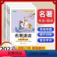 全套3册]中考名著速读导读必读12部+24部+中考名著真题全刷 [正版]九年级下册必读名著我是猫契诃夫短篇小说选格列佛游