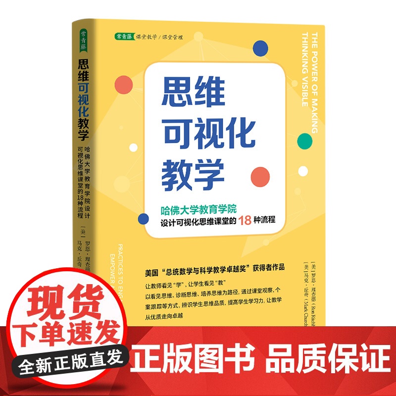 思维可视化教学:哈佛大学教育学院设计可视化思维课堂的18种流程一本书让你快速掌握思维可视化及落地到课堂教学实践的教学技能