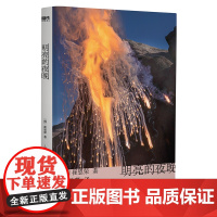 2023豆瓣年度书单]明亮的夜晚 小说 崔恩荣 韩国文学 中文 一部女性版的 活着韩国版的秋园 大山文学奖 女性成功励志