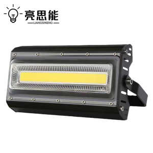 亮思能 LED投光灯 冷库专用灯三防灯 50W 个