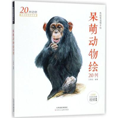 [粉象优品]全4册 色铅笔的温情手绘 呆萌动物 浪漫甜点 花草多肉绘 蔬果彩铅画技法绘画入门教程 零基础自学彩色铅笔基