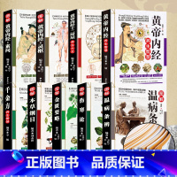 黄帝内经十二时辰养生大全 [正版]全9册中国古典中医文学图解黄帝内经本草纲目千金方伤寒论金匮要略 中医养生经络中草药图解