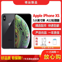 [二手9成新]Apple 苹果 iPhone XS 灰色 256GB 二手手机 苹果XS 单卡拍照娱乐备用4G手机 国行