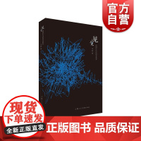 见与不见读图时代的视觉教养 王新著视觉艺术图像背后的秘密 上海人民美术出版社