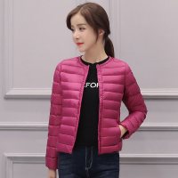 迪鲁奥(DILUAO)40岁妈妈穿的羽绒服2020年秋季冬新款大码无领圆领轻薄型服修身内胆短款轻便内穿外套