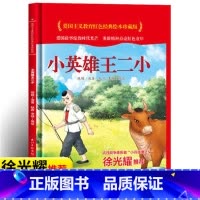 小英雄王二小 [正版]爱国主义教育红色经典绘本系列珍藏版全套30册中国红色故事绘本幼儿园阅读精装硬壳书儿童幼儿鸡毛信狼牙