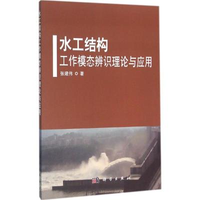 水工结构工作模态辨识理论与应用