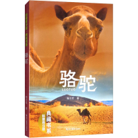 音像骆驼杨志军