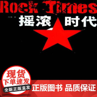 摇滚时代沉睡 摇滚乐通俗读物艺术书籍