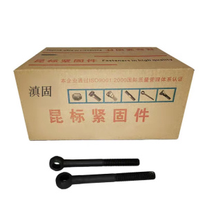 滇固 活节螺栓 M16*170mm /个