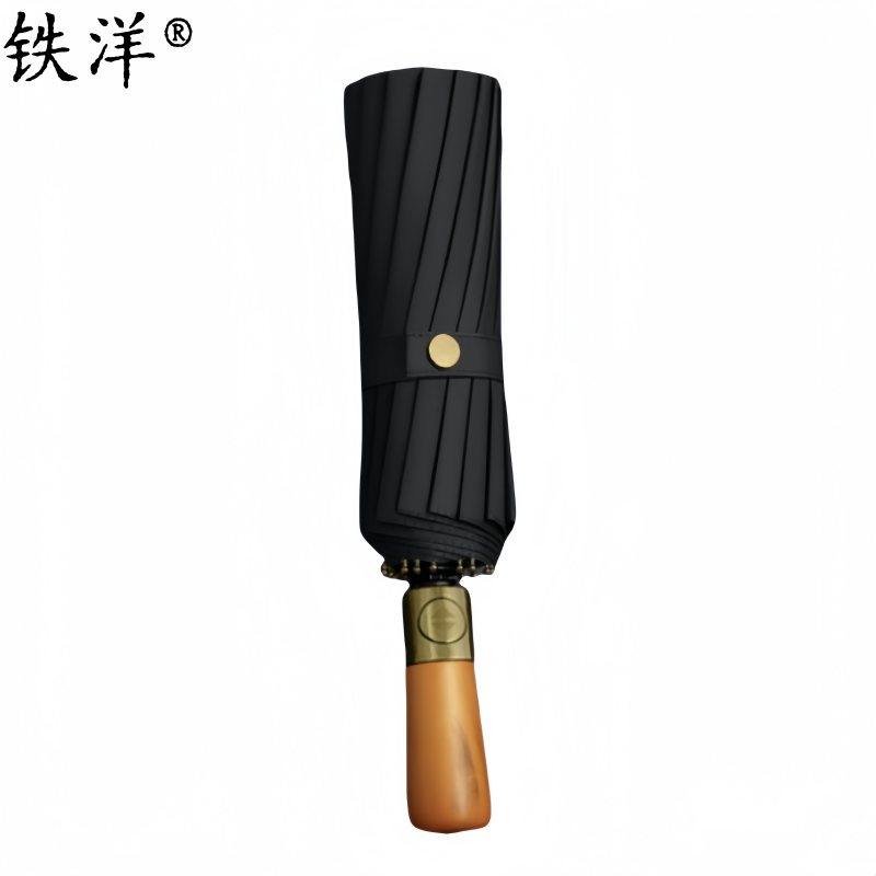 铁洋 16骨简约自动雨伞 TY-YS008 把
