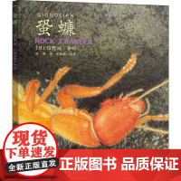 醉染图书蛩蠊9787513346412