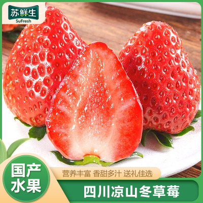 顺丰快递[苏鲜生]彩箱装 四川正宗大凉山露天草莓 中果 单果20g左右 净重2.4斤 (300g*2) 新鲜水果