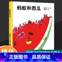 蚂蚁和西瓜 [正版]书店蚂蚁和西瓜(精) 蒲蒲兰绘本日本低幼儿童小婴孩儿宝宝家庭亲子情商启蒙绘本故事图画书籍