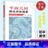 初中分册]平面几何强化训练题集 初中通用 [正版]新编平面几何300题+平面几何强化训练题集初中+高中分册+解题规律+知