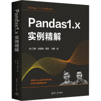 正版新书]Pandas1.x实例精解(美)马特·哈里森 等9787302609605