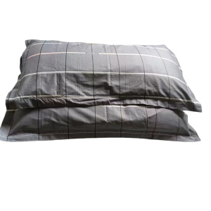 名佳荟萃 枕套 ZT-01 48*74cm 对