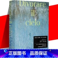 [正版] 逆光之夏 保罗.乔尔达诺作品 外国文学小说书籍 关于爱情和友谊的小说 上海译文出版社