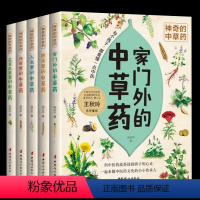 神奇的中草药系列[套装5册] [正版]神奇的中草药系列绘本5册厨房里的中草药传奇里的中草药花草瓜果里的中草药家门外的中草