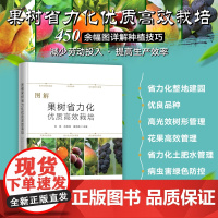 图解果树省力化优质高效栽培 329164 刘丽,高登涛,温明霞 2025-01