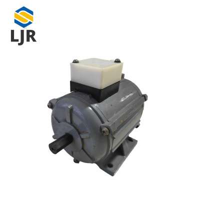 利冀尔 长轴维修电机 LJE - DJ10520 台