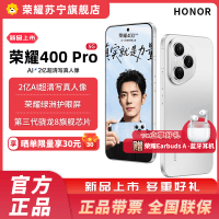 赠蓝牙耳机 荣耀400 Pro 12GB+256GB 揽月银 5G智能手机