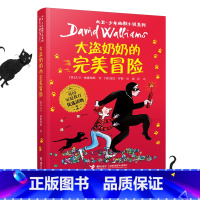 大盗奶奶的完美冒险 [正版]大卫少年幽默小说系列全套 了不起的大盗奶奶钱堆里的男孩圆梦小队的午夜计划 大盗奶奶的完美冒险