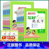 写好规范字 六年级下 [正版]2025新版 写好规范字小学一年级二年级下三年级四年级五年级六年级上册下册语文人教版小学生