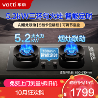 华帝(vatti)燃气灶家用5.2kW 嵌入式定时猛火灶 可调节免扩孔70%热效率 烟灶联动灶具i10309D(天然气)