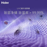 海尔(Haier)直驱变频 精华洗 超薄机身 大筒径 10公斤 滚筒洗衣机 智能投放XQG100-BD14386TLU1