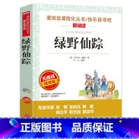 绿野仙踪 [正版]城南旧事 林海音原著完整版名著儿童文学三四五六年级中小学生课外书籍老师骆驼的样子小英雄雨来宝葫芦的秘密