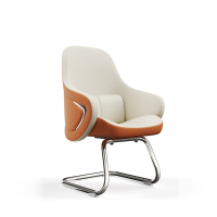 合祥源 会议椅弓形西皮椅 730*580*1020mm D8001 张