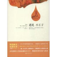 正版新书]遇见小王子丁稀在9787510823183