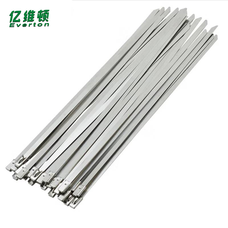 亿维顿 不锈钢扎带 4.6*200mm 100根 包