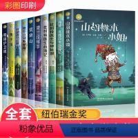 纽伯瑞儿童文学奖作品集[全10册] [正版]纽伯瑞国际儿童文学金奖小说全套10册彩图版坡杜利特荒泉山海蒂原著三四五六