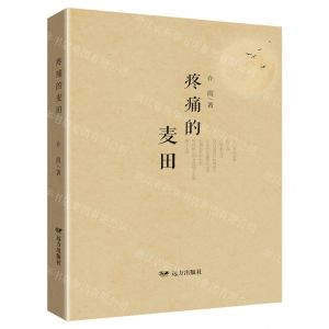 [N]疼痛的麦田-9787555516828