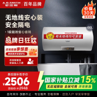 AO史密斯60升电热水器 无地线可安装 专利安全隔电 金圭内胆 速热节能 一键中温保温E60VDS 预约洗浴