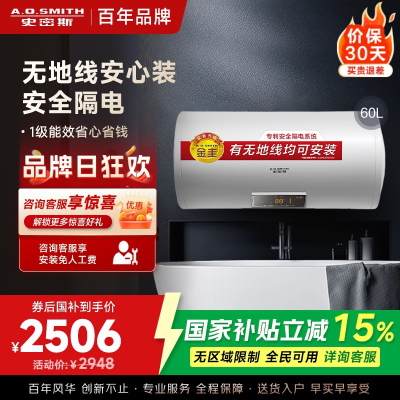 AO史密斯60升电热水器 无地线可安装 专利安全隔电 金圭内胆 速热节能 一键中温保温E60VDS 预约洗浴