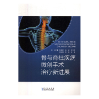 音像骨与脊柱疾病微创手术治疗新进展陈国武[等]主编