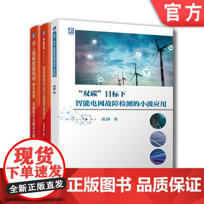 套装 正版 智能电网应用丛书 共3册 双碳目标下智能电网故障检测的小波应用 深入理解智能电网 智能电网可再生能源系统