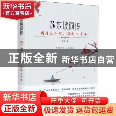正版 明月三千里孤灯二十年(苏东坡词传) 丁耽著 台海出版社 9787